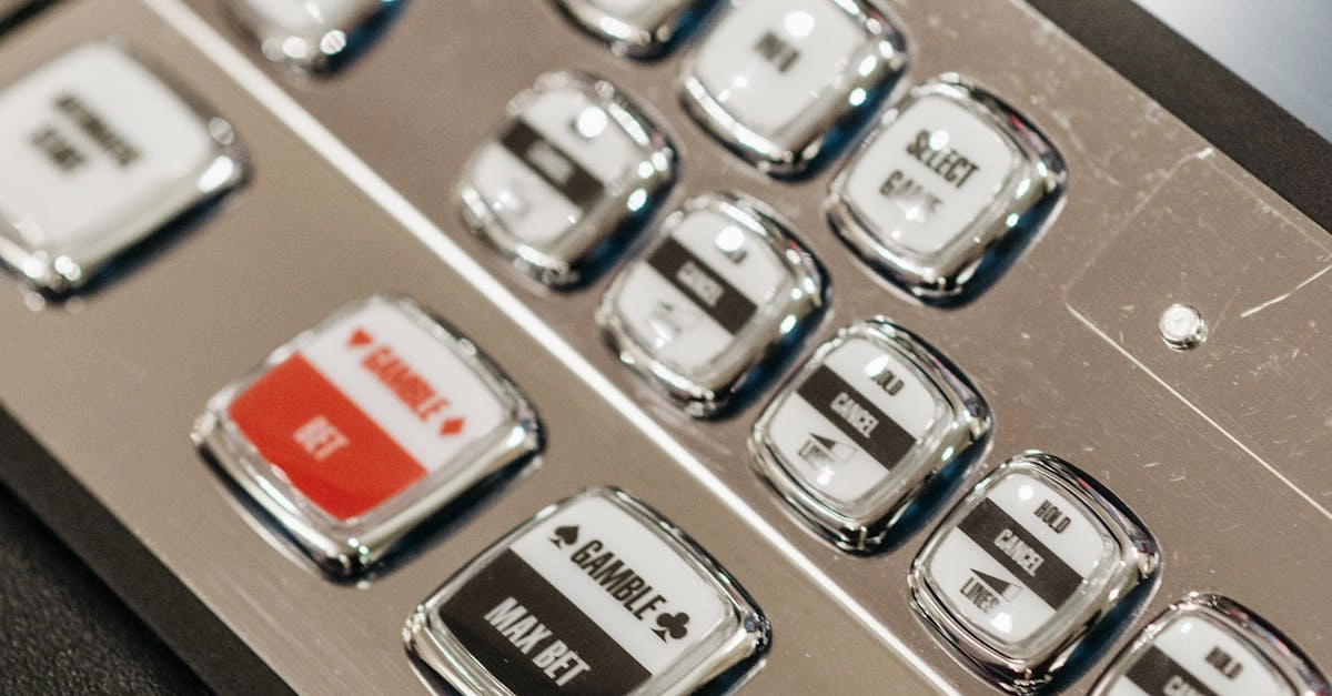 Технологии программ лояльности казино без депозита в мегаполисе